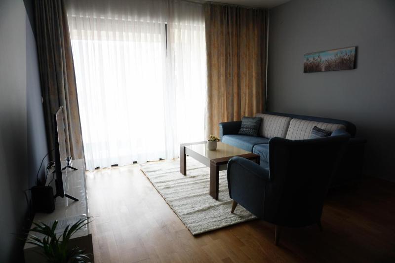 Deluxe Apartment image 3