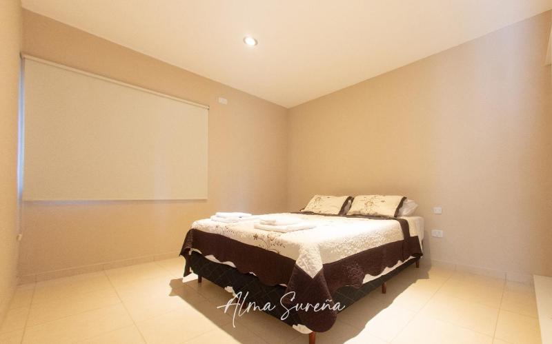 Alma Sureña - image 18