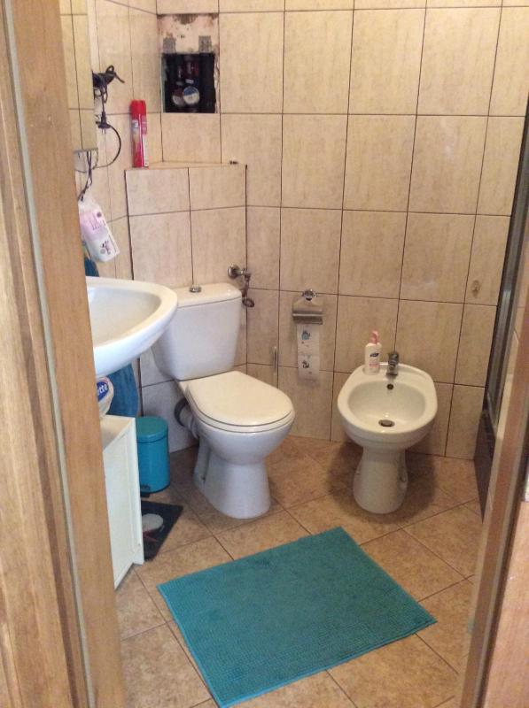 One-Bedroom Apartment image 4