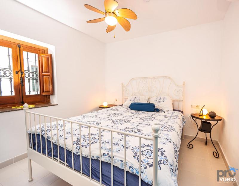 The Blue House - image 6