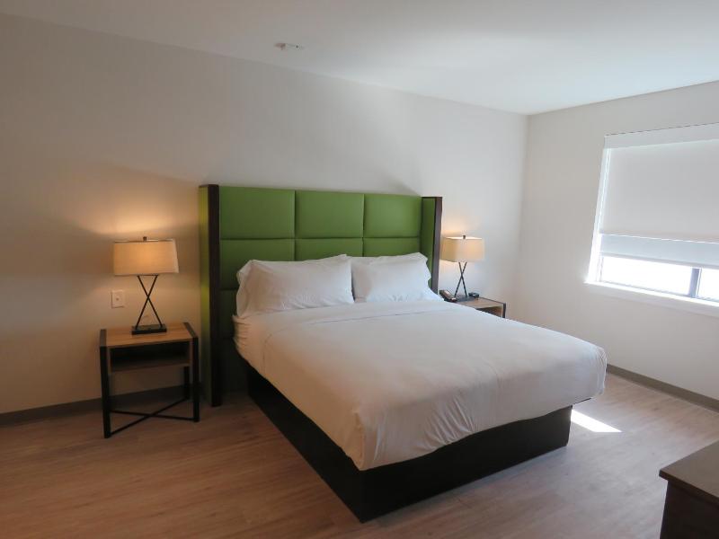 1 King Bed, Mobility Accessible Room, 1BR Suite, Roll in shower, Non-Smoking image 2