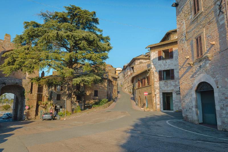 Hotel San Pietro - image 27