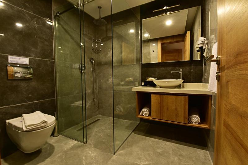 Three Bedroom Apartment with Pool View  image 3