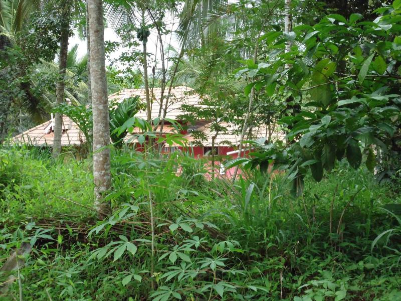 Spice Garden Farm house - image 32