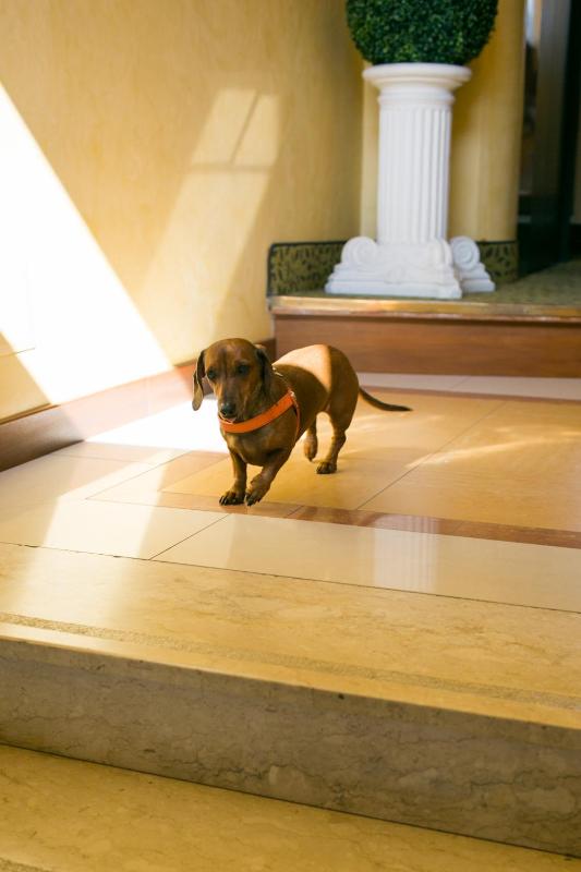 Rex Hotel Residence - image 37