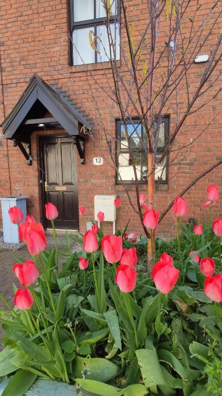 Liberty Townhouses Images