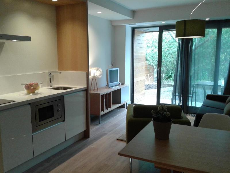 One-Bedroom Apartment image 2