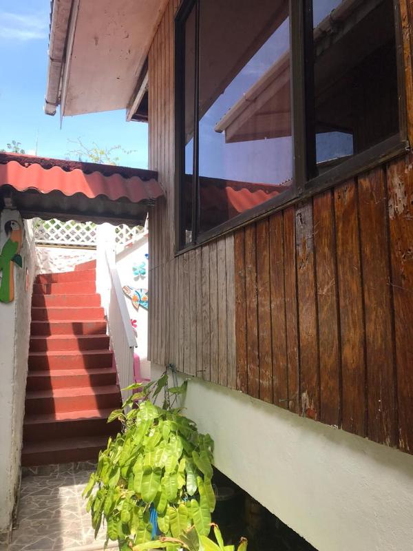 Villa acacias tree - image 7