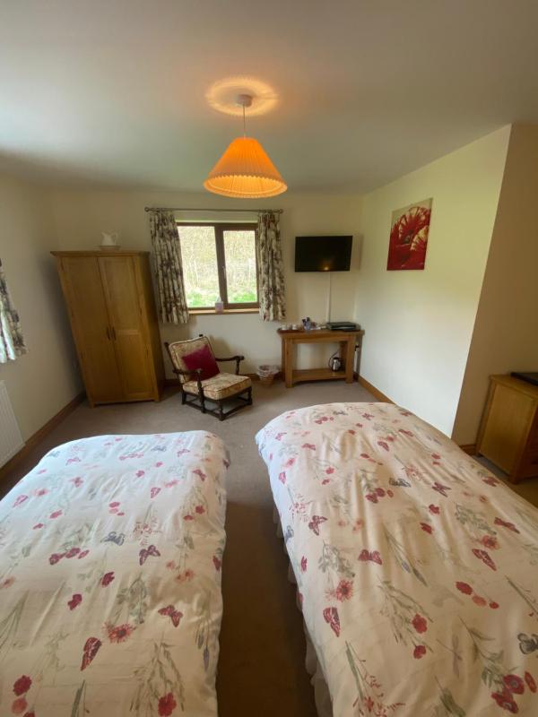 Twin Room with Private Bathroom image 4