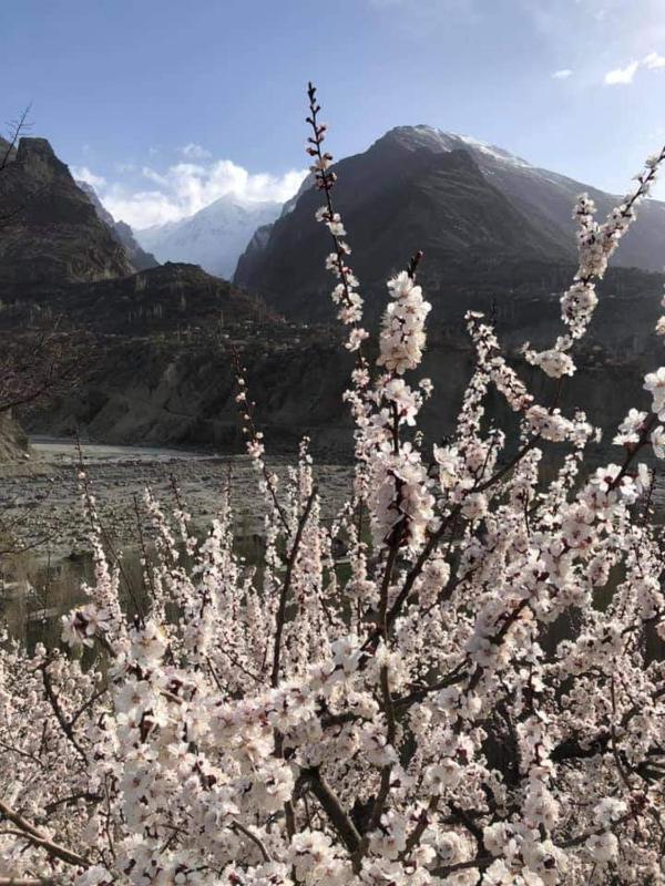 Old Hunza inn - image 7