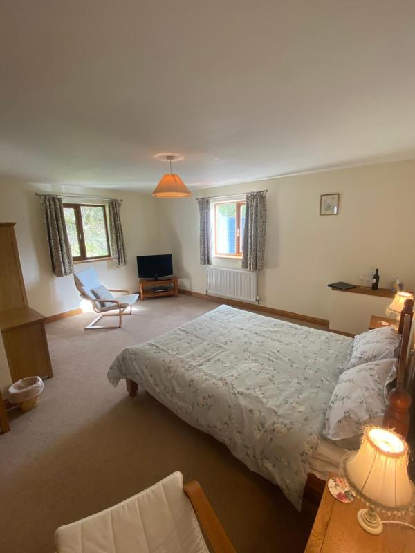 King Room with Private Bathroom image 2
