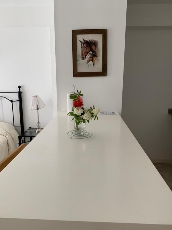 Paseo de los Poetas Esteco 260 - image 39