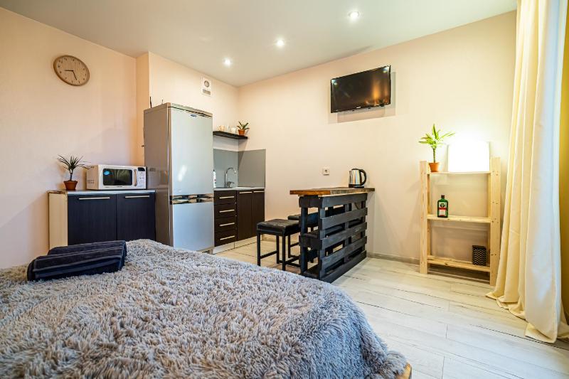 One-Bedroom Apartment image 3