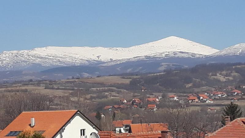 Apartman 