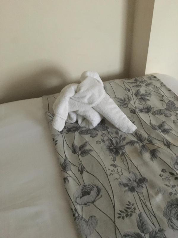 Standard Twin Room image 4