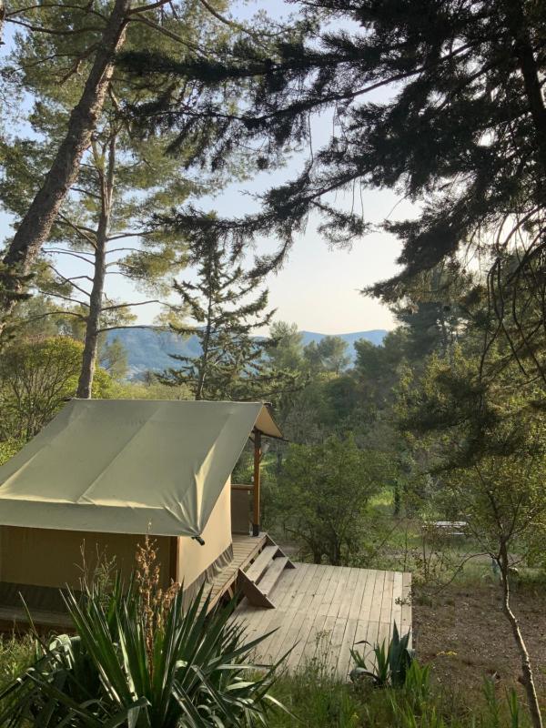 Ecolodge Baleares image 3