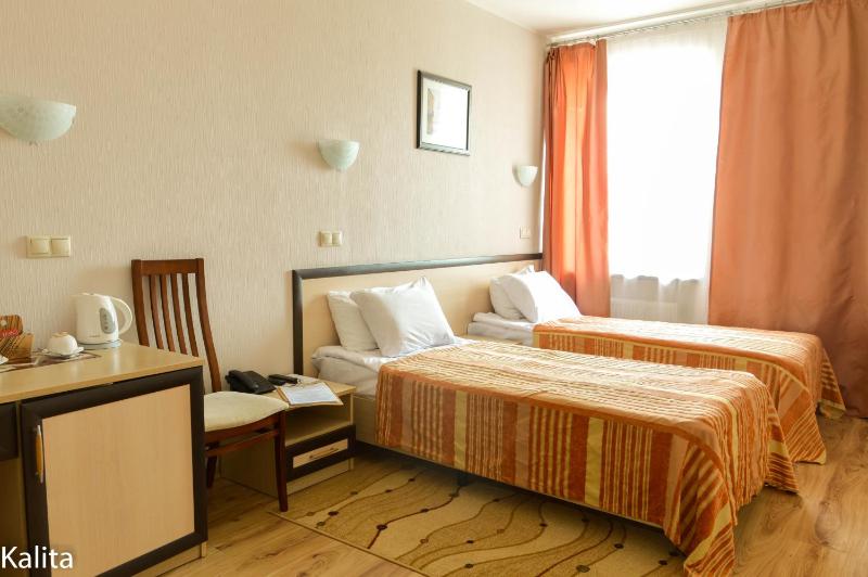 Standard Twin Room image 3