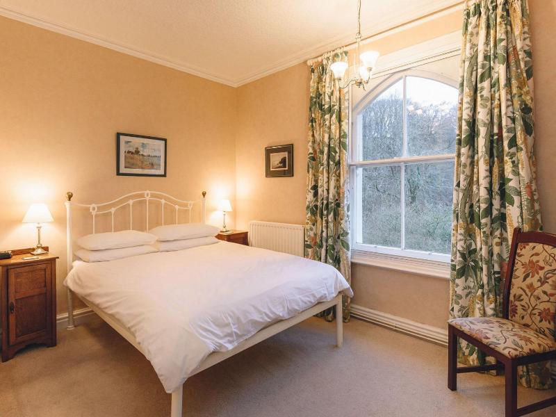 Deluxe King Room image 2