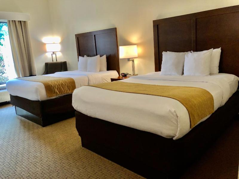 Queen Room with Two Queen Beds - Non-Smoking image 3