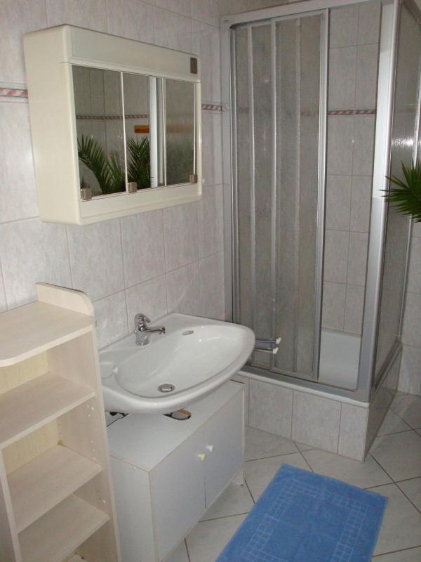 One-Bedroom Apartment image 2