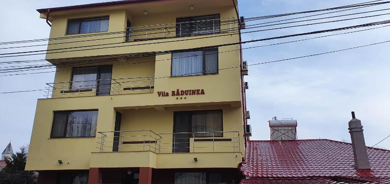 Vila Raduinea - image 16