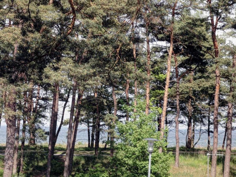 Strand und Waldhaus Ostseeperle - image 23