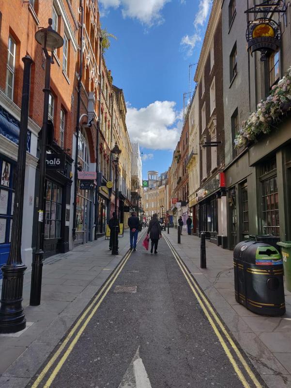 One-Bedroom Apartment image 3