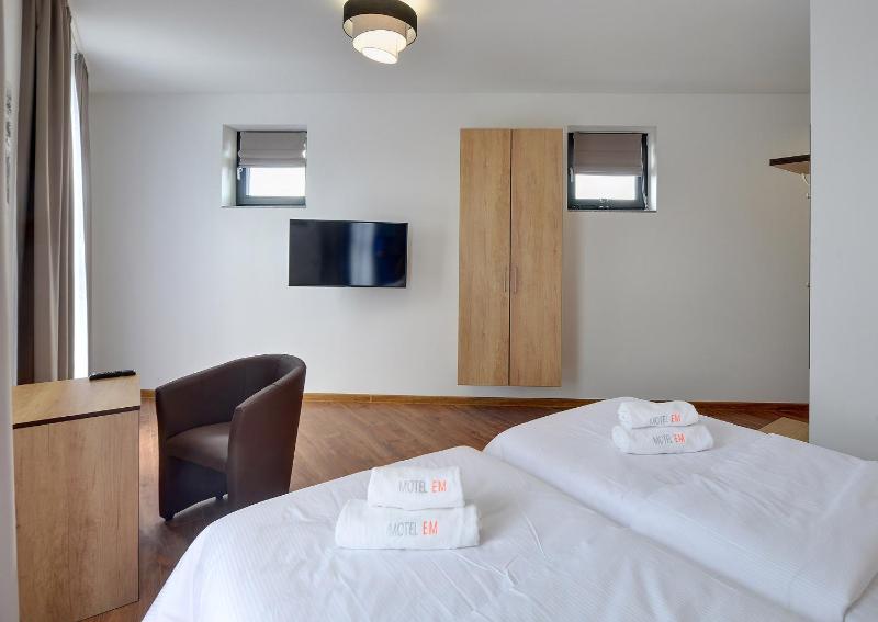 Large Twin Room image 3