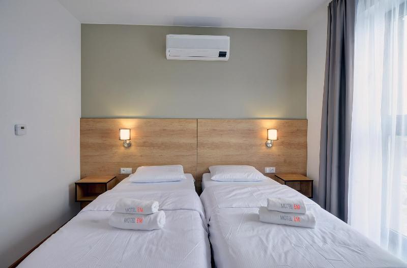 Large Twin Room image 2