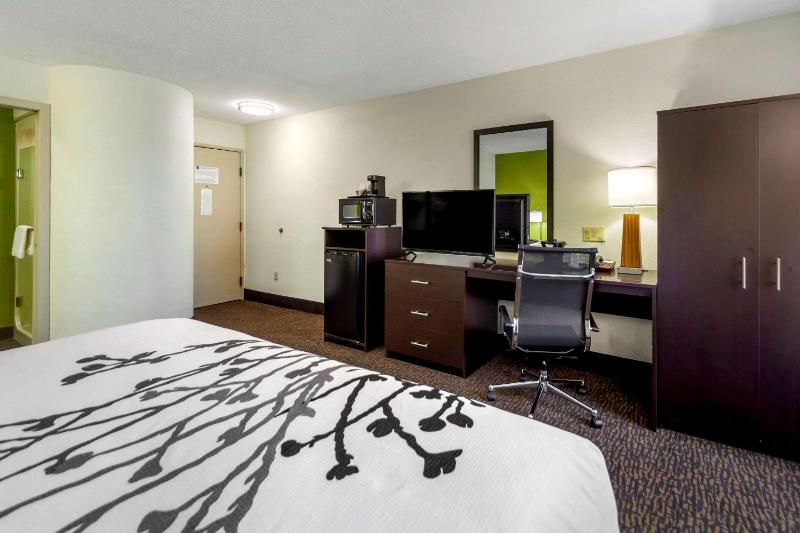 Deluxe King Room - Non-Smoking image 3