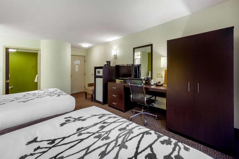 Deluxe Queen Room with Two Queen Beds - Non-Smoking image 3