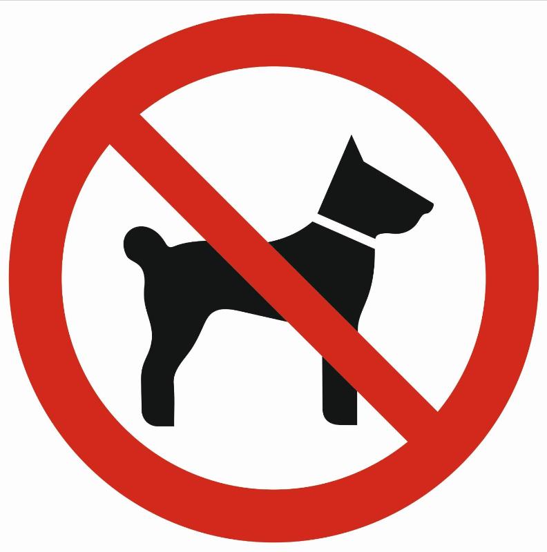 Two-Bedroom Apartment image 2