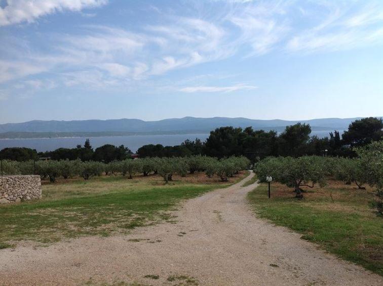 Holiday Home ZLATNI RAT (3543) - image 28