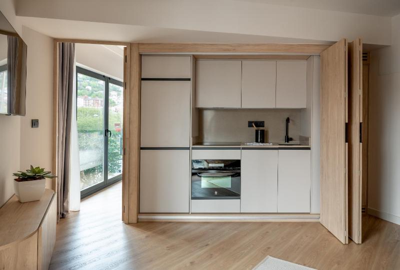 One-Bedroom Apartment image 4