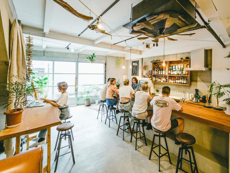 Hippo Hostel and Cafe Bar - image 7