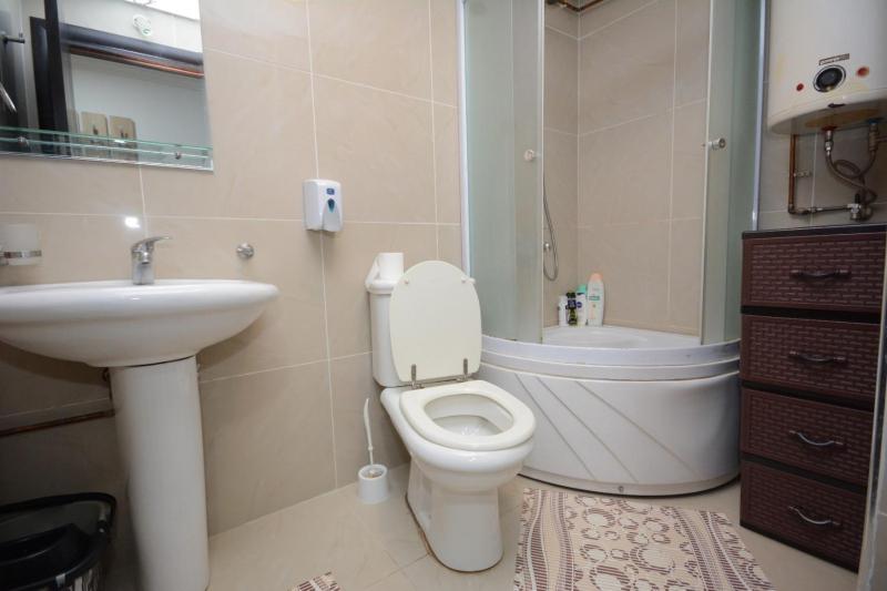 One-Bedroom Apartment image 4