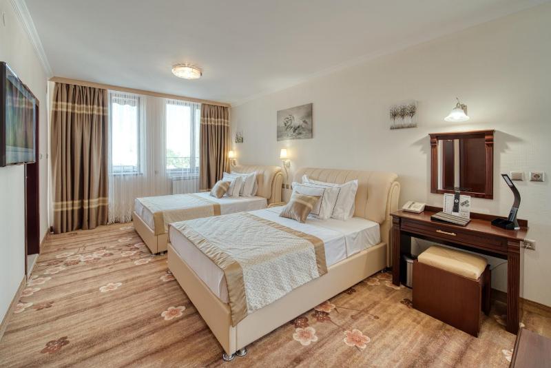 Deluxe Twin Room image 1