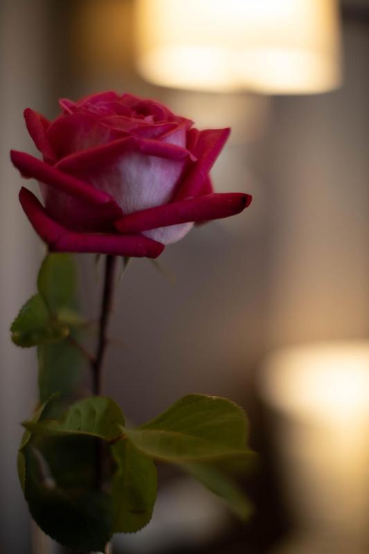 Chambre Double image 2