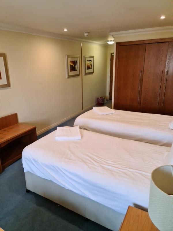 Superior Twin Room image 2