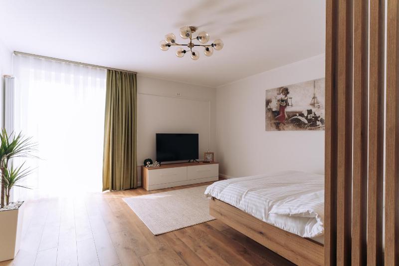 Studio Apartment image 3