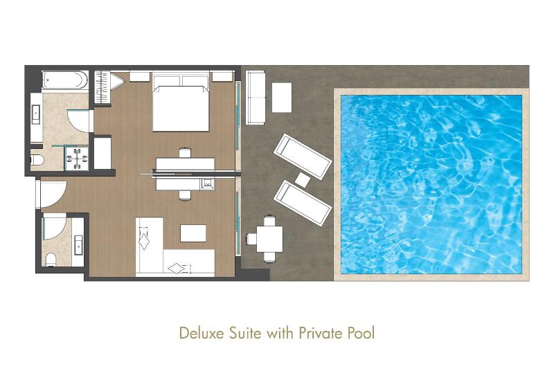 Deluxe Suite with Private Pool image 2