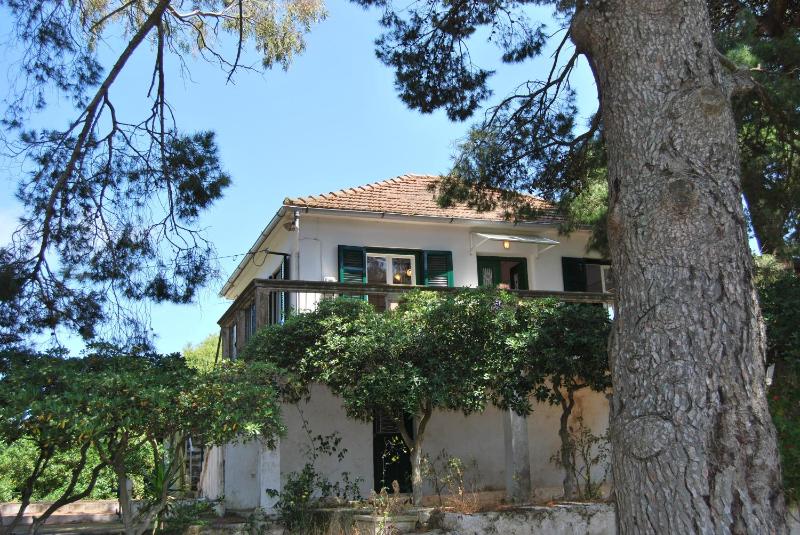 Three-Bedroom House image 1
