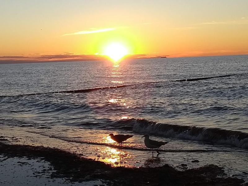 Meerzeit 1 Graal-Müritz Images