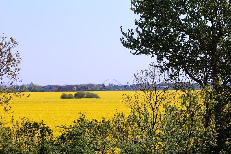 Avalon Hotel Bellevue - image 22