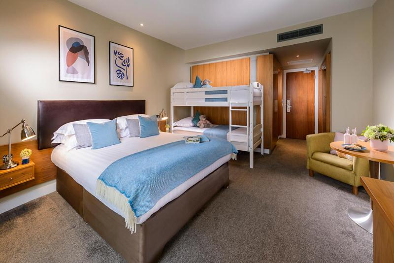 Bunk Bed Family Room (2 adults + 2 children) image 3