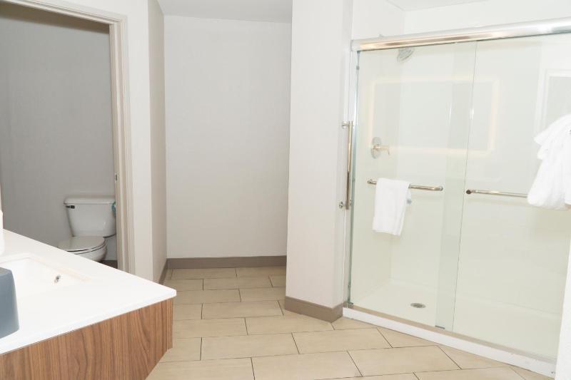One-Bedroom King Suite image 4