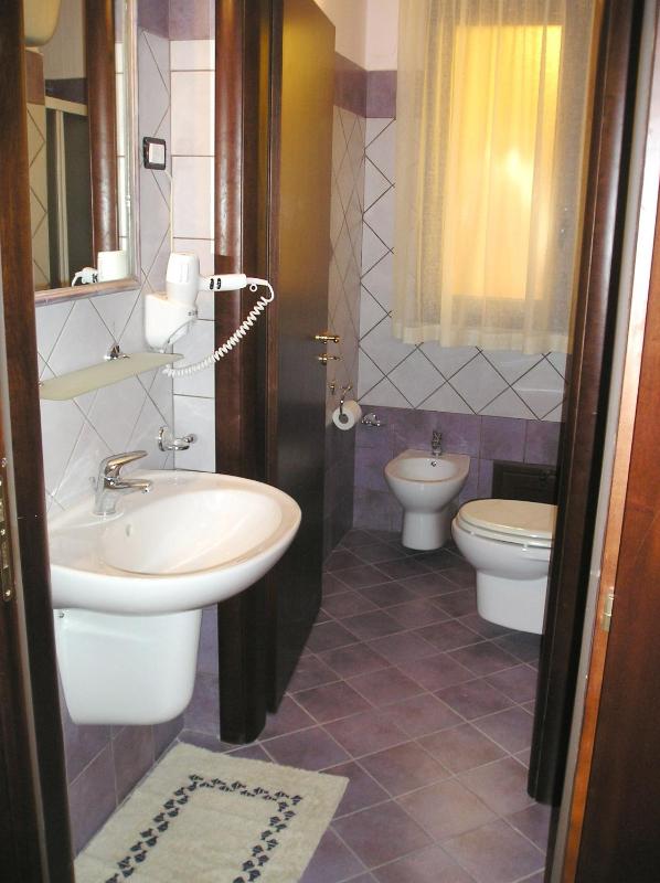One-Bedroom Apartment image 4