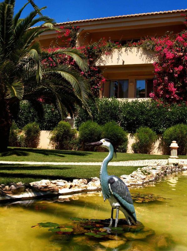 Vila Palmeira Beach Resort - image 44