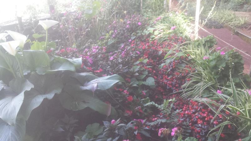 woods hut - image 22
