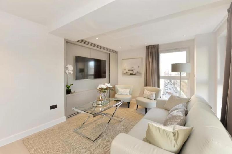 One-Bedroom Apartment image 2